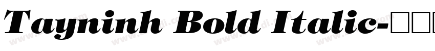 Tayninh Bold Italic字体转换